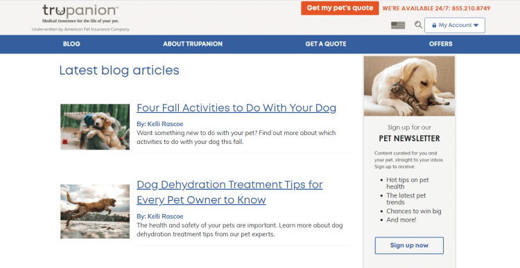 Pet Insurance Blog, Trupanion Blog home page with latest article on four fall activities to do with a dog.