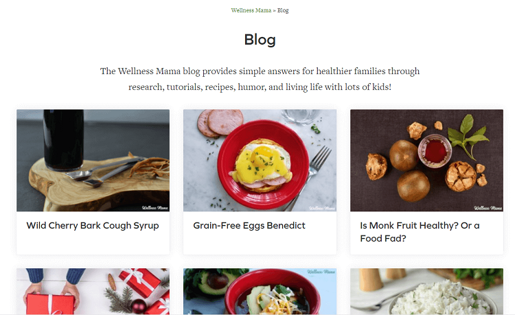 This is a screenshot of the homepage of Wellness Mama DIY blog